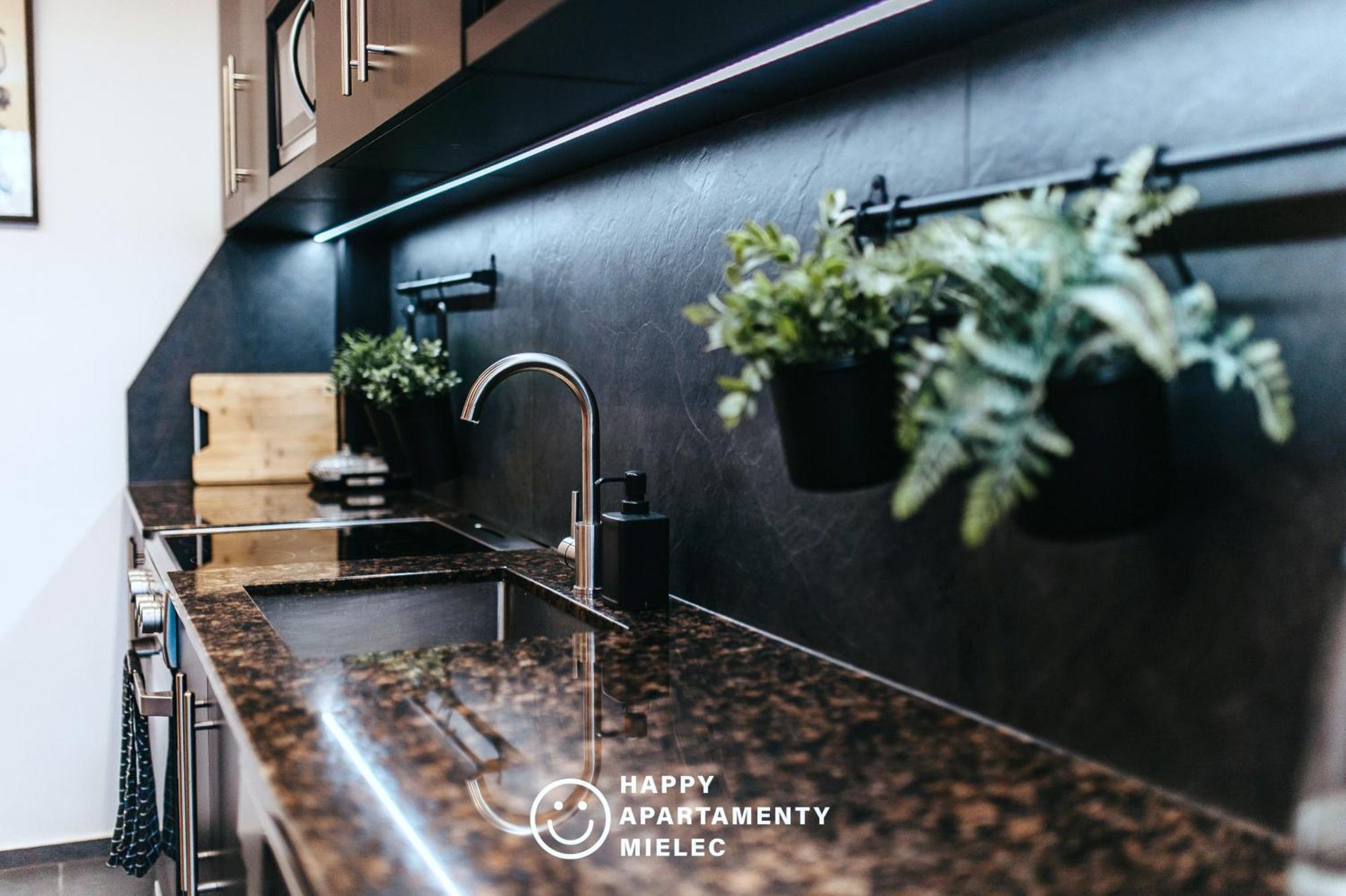 Happy Time - Apartamentyhappy Pl ミエレツ エクステリア 写真